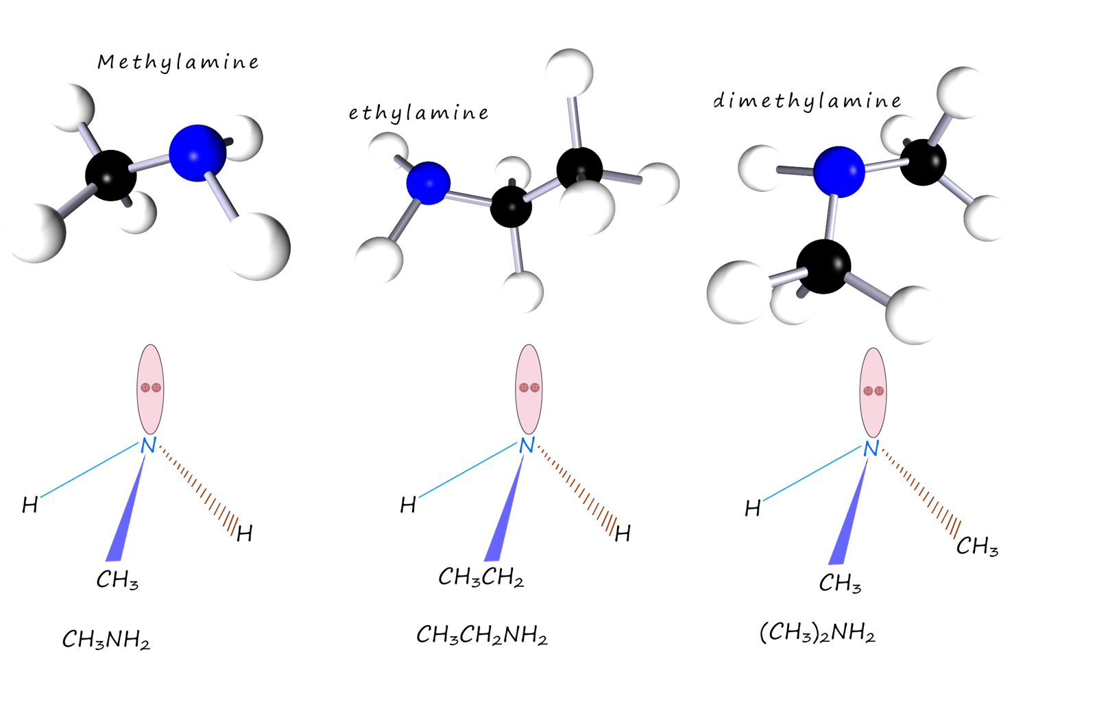 simple amine molecules are named by adding the suffix amine to the alkyl or aryl attached to the nitrogen atom